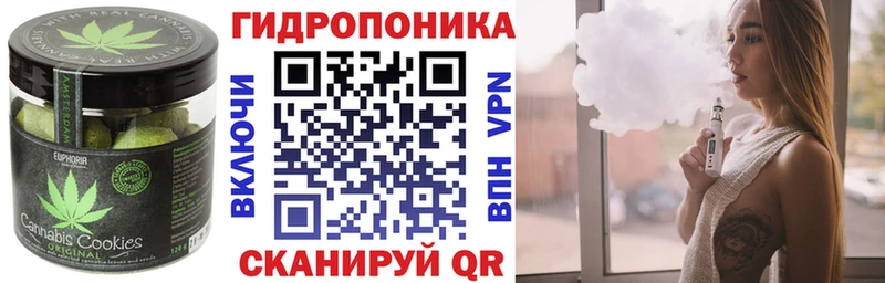 Купить закладки  Дзержинск  Canna-Cookies конопля 
