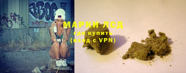 дживик Новозыбков