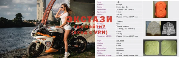 дживик Новозыбков