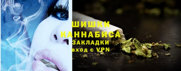 дживик Новозыбков