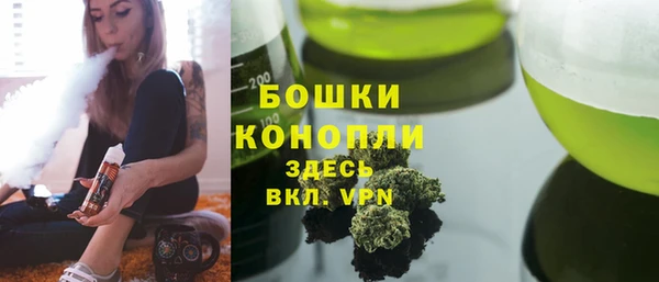 дживик Новозыбков