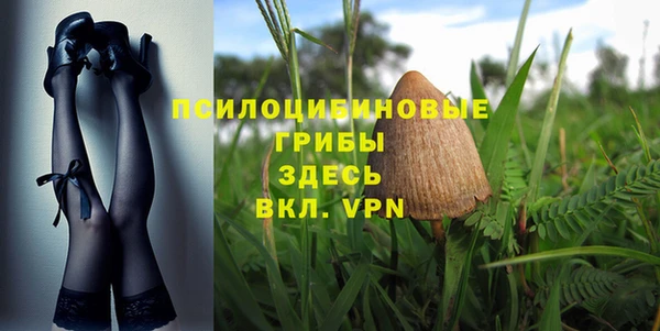 дживик Новозыбков