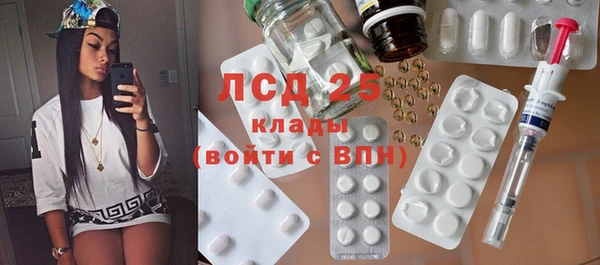 дживик Новозыбков